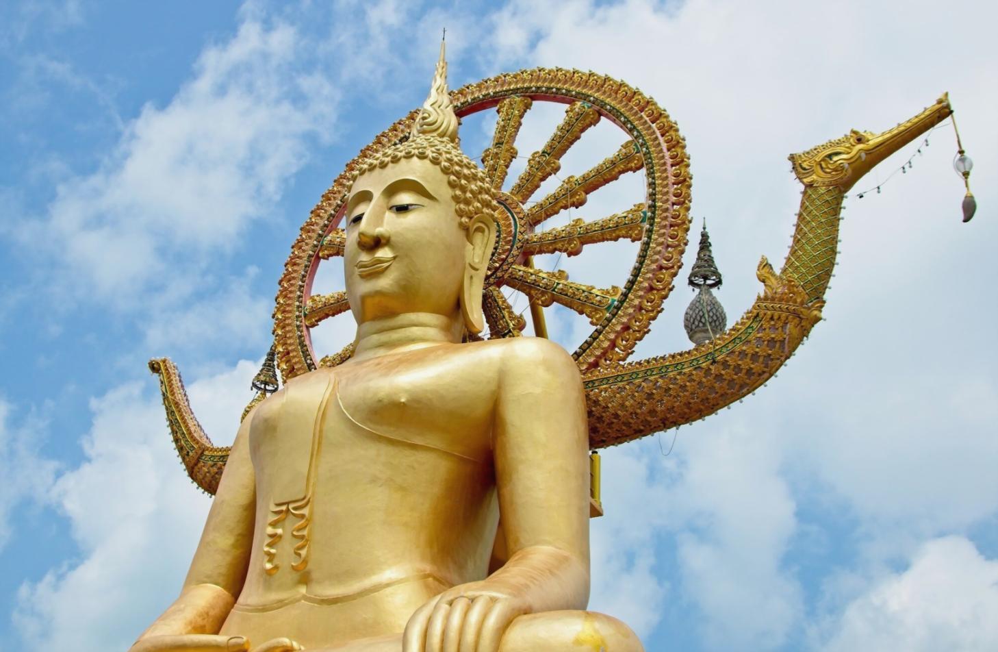 Натхнення від навчання